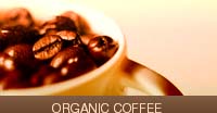 Coffee - Addiction at coffee