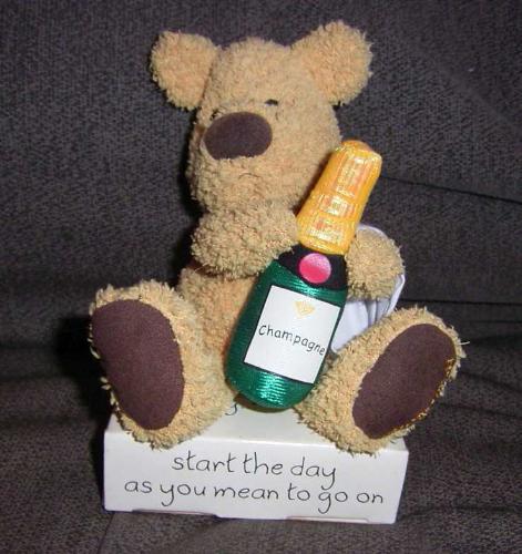 Celebrate -  Teddy Bear with Champgne Bottle