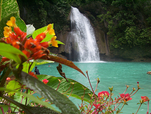 kawasan falls - a weekend vacation in kawasan falls