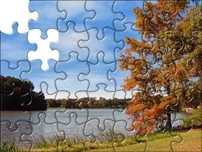 puzzle - pieces of the puzzle