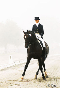 Dressage - This picture is of Dressage which is an English riding form