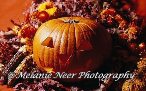 My Halloween Photo as Wallpaper on my monitor - My Halloween photo as a screensaver