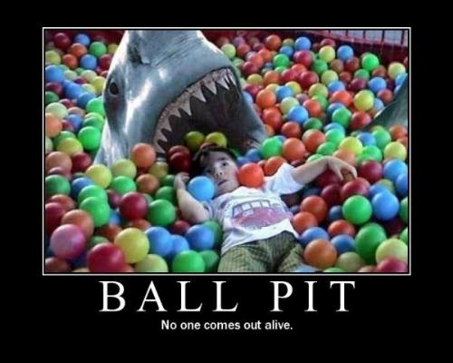 sharks - shark in a ballpit.