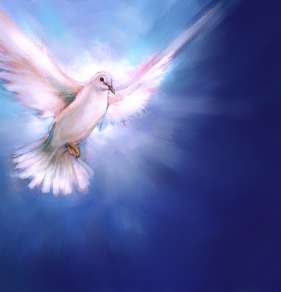 holy dove - holy spirit....