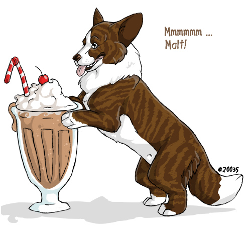 Dog - A Dog having his milkshake