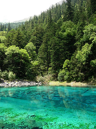 a colorful pond in Jiuzhaigou China - the pond locates in Jiuzhaigou Yunnan China .it appears beautiful for contaning much minerals ,which refract sunshine , and make the pond colorful. if you would visit China ,i surpose you be there .