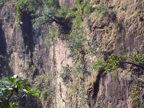 Hills slope at Panchmari, MP, India - Hill slope at Panchmari, a hill station in MP, India