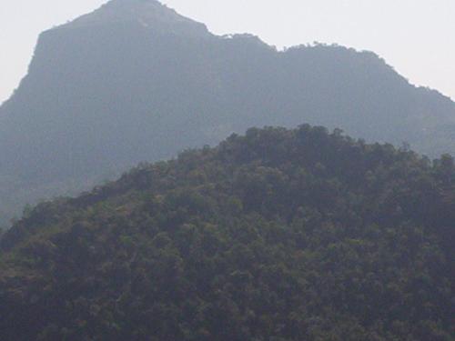 Hills view at Pachmari - Hills view at Pachmari, MP, India