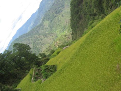 Cordillera - The rich splendorous magical mountain ranges makes it a paradise. People are abandoning because of its low economic progress. Tourists love to visit and keep coming, this is one great economic opportunity for us. Come and see it yourself!