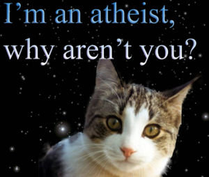 Atheist cat - its th photo of a cat with an atheist caption Atheist cat - its th photo of a cat with an atheist caption