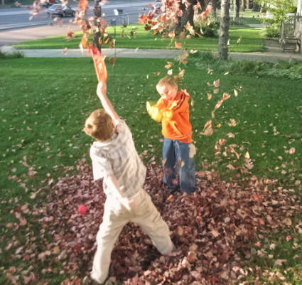 Grandsons Fun - Thwey had a blast with the leaves Grandsons Fun - Thwey had a blast with the leaves
