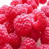 rsaeberries - raseberries yummy