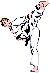 taekwondo - an image of a taekwondo practitioner