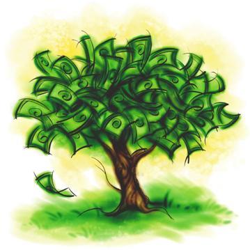 money tree - i really want to grow this tree once i get the seeds i'll let u all know about it