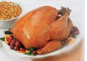 thanksgivig Turkey - Turkey thanksgiving