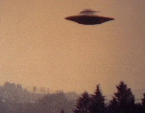 UFO in the sky - Is there any other species other than in the earth?