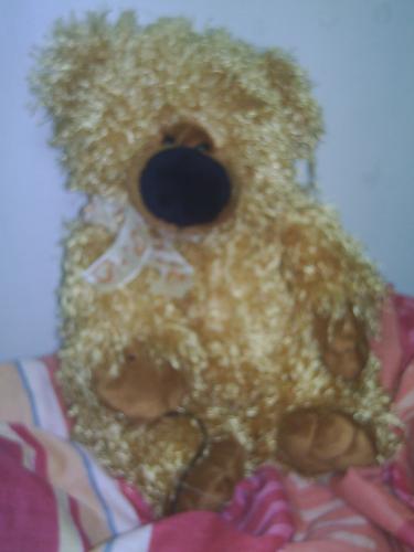 teddy - This is my teddy bear named Tiber. I used to sleep with him beside me. He's cute and cuddly. teddy - This is my teddy bear named Tiber. I used to sleep with him beside me. He's cute and cuddly.