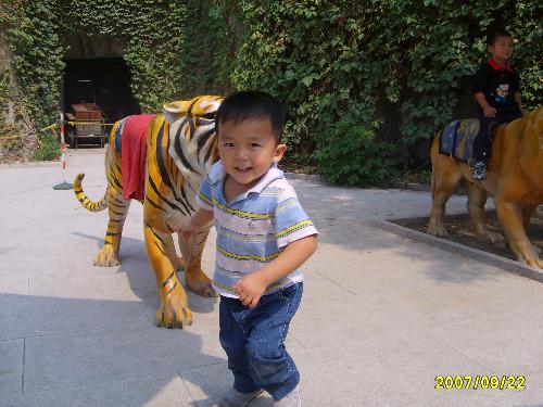My son in Beijing Zoo - It is a photo taken in Beijing Zoo. My son and my wife came to Beijing to meet with me. I brought my son to Beijing Zoo to meet his wish in a long time. He is so happy to see so many animals which can be seen in books before. In this picture, he was on the side of Mount Shihu(Tiger and Lion), and when the photo was taken, he is just want to rob my cemera and take some photos by himself.