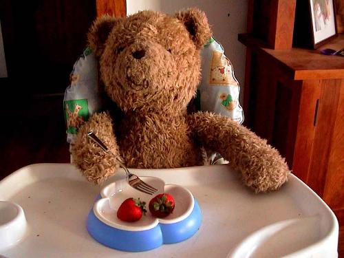 dinner - teddy bear dinner