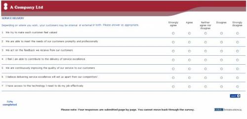 Online survey - Example of an online survey