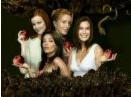 desperate housewives - cast of desperate housewives