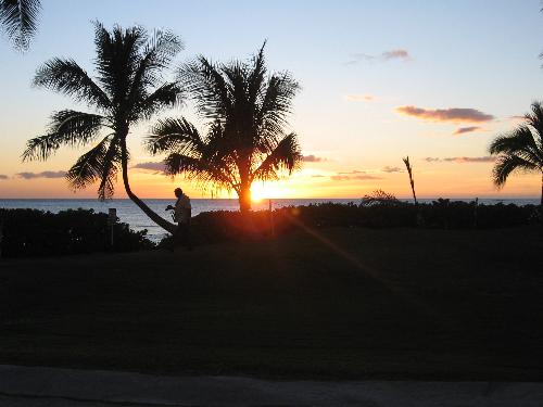 Silhouette at Sunset - Hawaii - This photo was taken at sunset using one of the palm trees to block the sight source and create a silhouette. This was taken with a Canon A530 in the Auto mode.