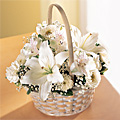 white flowers - white flowers