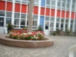 avh school - My school!