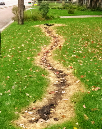 Damaged Lawn - Waiting for the reapirs to be done by the electric company Damaged Lawn - Waiting for the reapirs to be done by the electric company