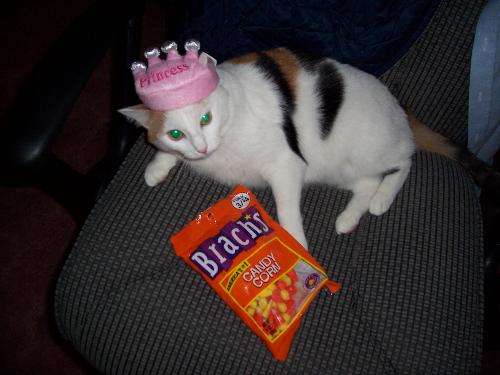 Halloween - Angel Dressed in Her Tiara for Halloween pictures. 