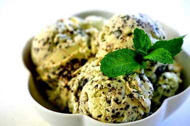 Mint Chocolate-Chip Ice Cream - Taken from this site:  http://www.elise.com/recipes/archives/006066mint_chocolate_chip_ice_cream.php