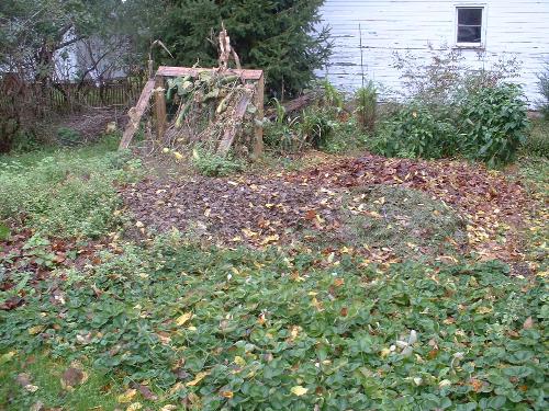 Leaf Pile - Ok, it's not ALL leaves, My hubby also mowed grass and threw the clipping in there too. It will be so much fun for the kids to play in, if the weather ever dries out!
