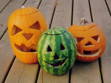 Jack O'Melon - A late watermelon keeps our jack-o-lanterns company!