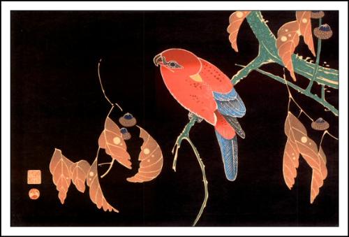 Parakeet Print - This is a lovely asian parakeet print.