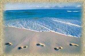 Footprints and Absent Friend - Footprints in the sand... absent friend. Footprints and Absent Friend - Footprints in the sand... absent friend.