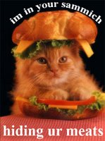 Catz - Where am I? Catz