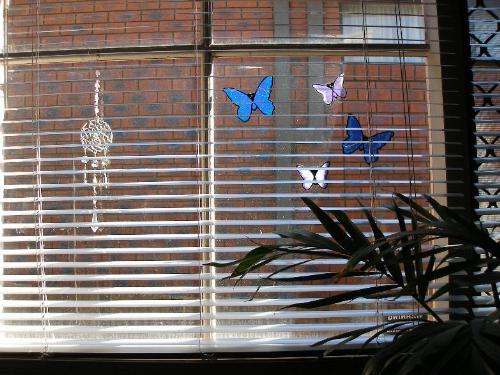 Butterfly decals - butterfly decals on my bedroom window