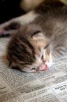 Old News... - Old news is....boring news! :)
