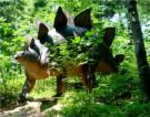 stegosaurus - Stegosaurus' are my favorite dinosaurs. I just love them! :)