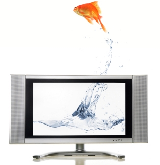 watching television.... - watching television how much do you watch