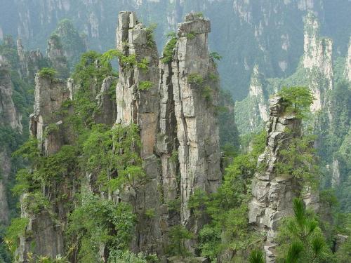 fairy stone - They are a group of fairy stones in zhangjiajie at Hunan province in China.