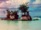 boracay - its in boracay island in philippines