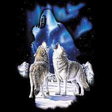Wolves - Wolves howling at the moon.