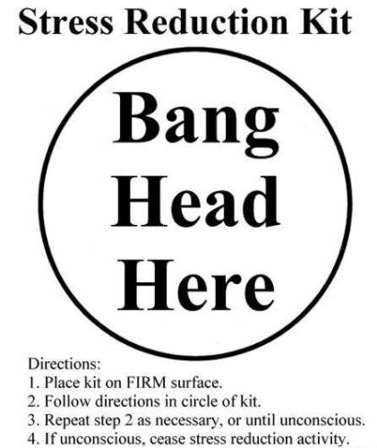 bang head here - picture of a "stress reliever" that says "Bang Head Here"