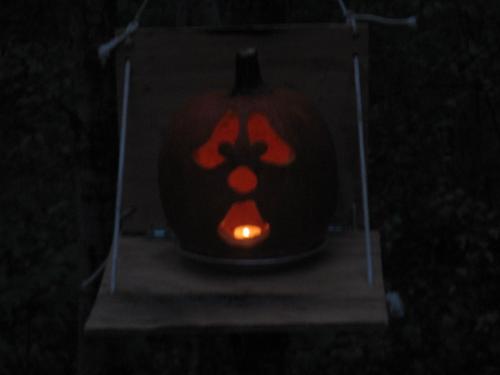 Shcoked Look - A shocked pumpkin?