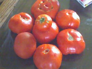 Tomatoes - These are the tomatoes my wife and I grew using cow manuer. Mauer is a great way to get big produce fast. All natural way to good food.