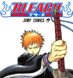 bleach - bleach a picture of ichigo