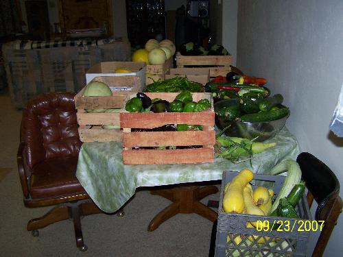 My sister's veggies some we canned and some we fro - My sister has the greenist thumb I have even seen. She can grow anything. Her garden is almost an acre in size and this is some of her bounty that we canned and froze. We gleened her garden before the froze got the last of her tomatoes.