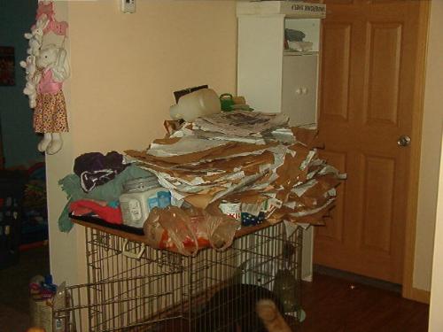 Newspaper mess - The dog crate is the catch-all place in our house as you can tell. lol