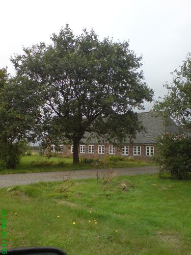 home - The farm we are liveing in